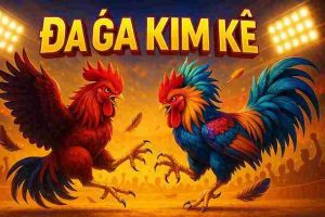 Đá Gà Kim Kê 23WIN01 – Sân Chơi Giải Trí Hấp Dẫn Nhất